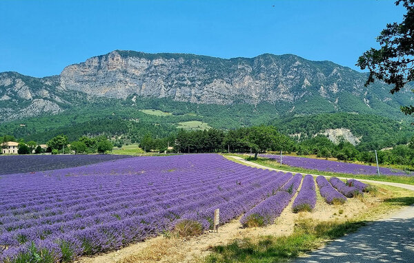 Holiday Home - Allex , France - FPD495 901