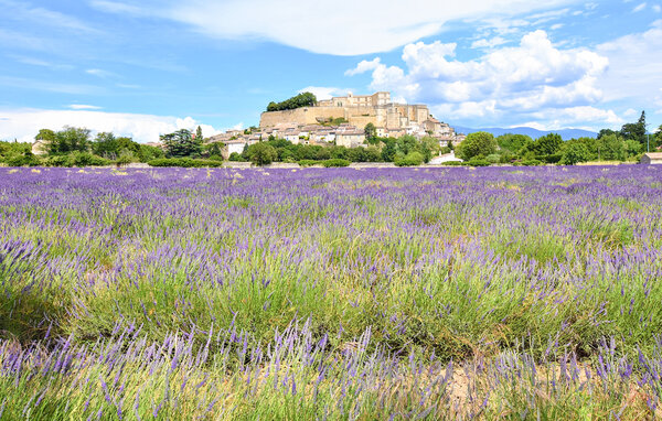 Location de vacances - Allan , France - FPD496 903