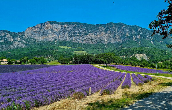 Kuća-za-odmor - Rochegude , Francuska - FPD497 902