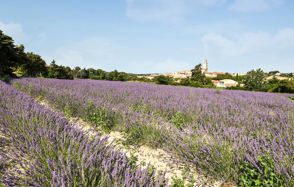 Location de vacances - Grignan , France - FPD502 901