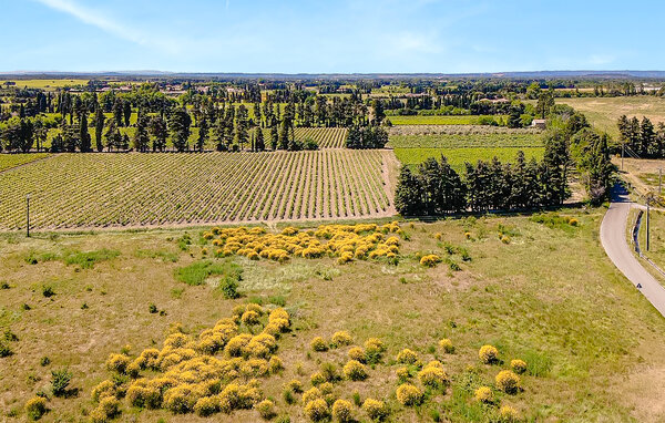 Semesterhus - Travaillan , Frankrike - FPP023 901