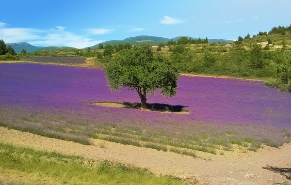 Location de vacances - Vaison-la-Romaine , France - FPP038 906