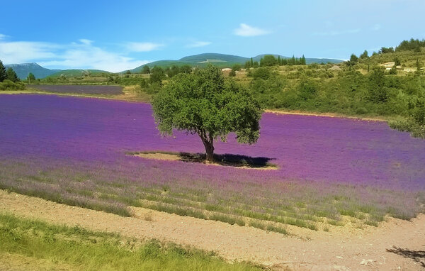 Location de vacances - Vaison-la-Romaine , France - FPP039 906