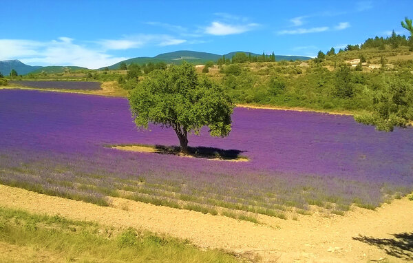 Location de vacances - Sablet , France - FPP066 905