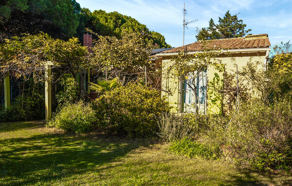 Location de vacances - Orange , France - FPP089 81