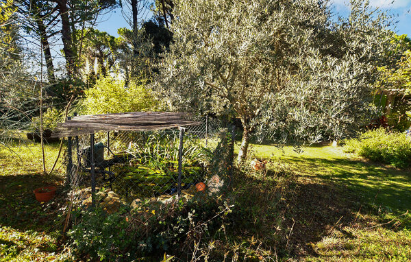 Location de vacances - Orange , France - FPP089 102