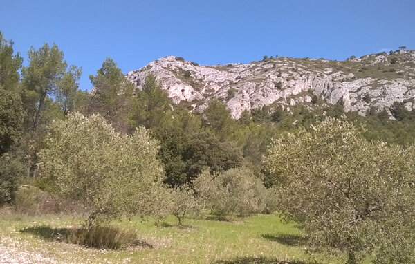 Semesterhus - Taillades , Frankrike - FPP112 904