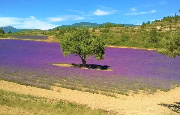 Casa de vacaciones - Sault , Francia - FPP117 901