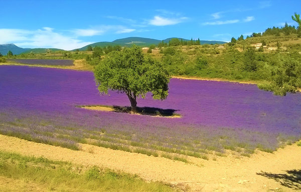Location de vacances - Lioux , France - FPV813 901