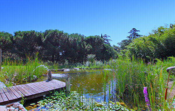 Location de vacances - Aubenas , France - FRA260 6