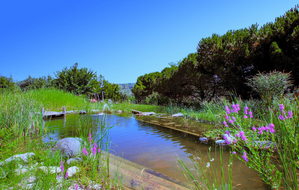 Location de vacances - Aubenas , France - FRA260 103