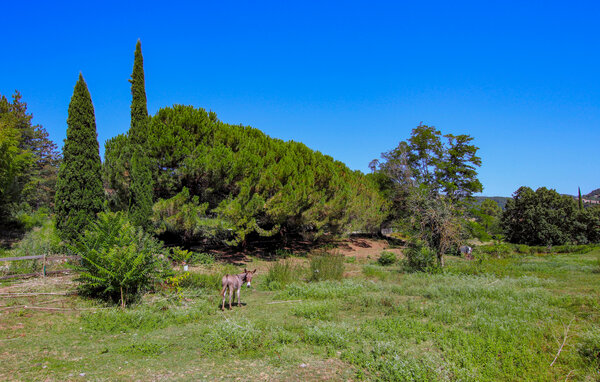 Location de vacances - Aubenas , France - FRA260 105