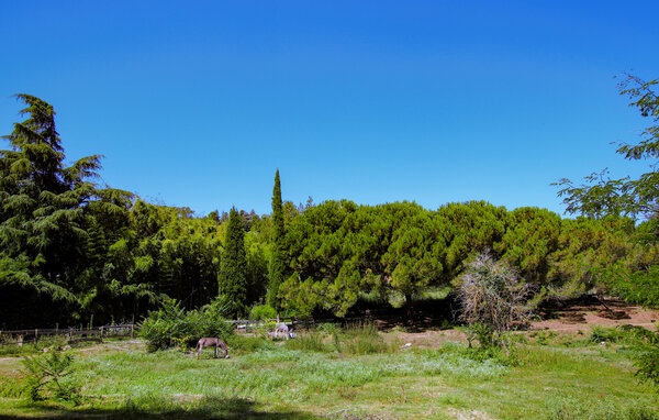Location de vacances - Aubenas , France - FRA260 106