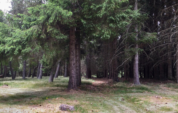 Feriehus - Lanarce , Frankrig - FRA349 101
