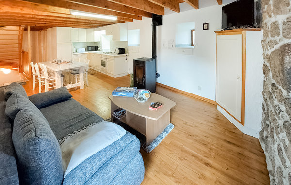 Holiday Home - Essertines-en-Châtelneuf , France - FRL012 4