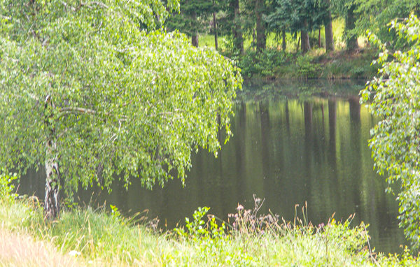 Kuća-za-odmor - Saint-Hilaires-les-Places , Francuska - FSH048 104