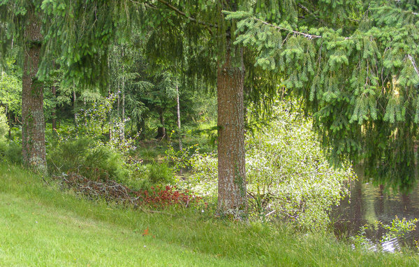Kuća-za-odmor - Saint-Hilaires-les-Places , Francuska - FSH048 106