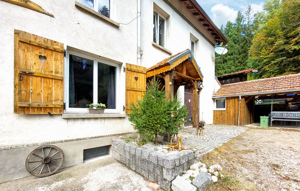 Ferienhaus - Granges-Aumontzey , Frankreich - FTV030 101