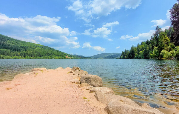 Semesterlägenhet - GERARDMER , Frankrike - FTV056 9