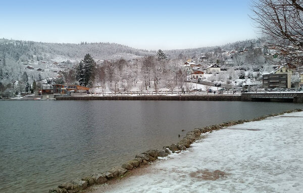 Semesterlägenhet - GERARDMER , Frankrike - FTV056 906