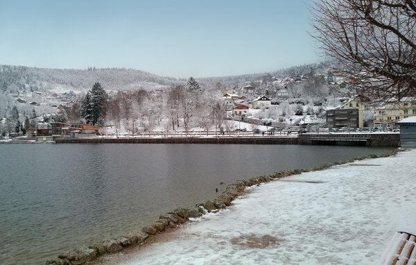 Appartamento - GERARDMER , Francia - FTV057 905