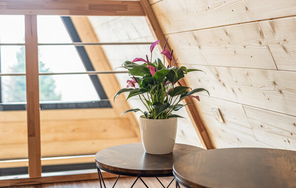 Holiday Home - Anould , France - FTV058 501