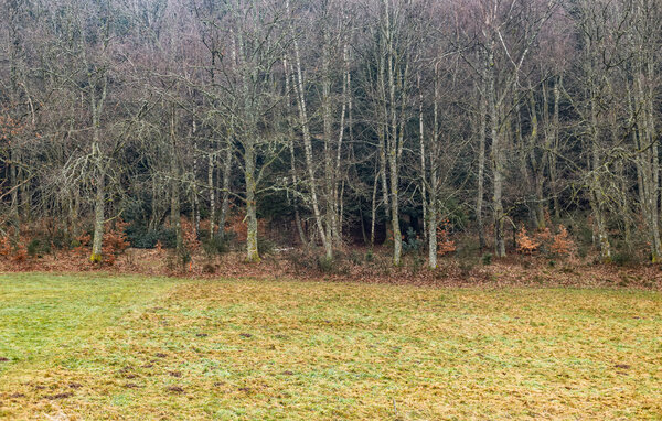 Holiday Home - Anould , France - FTV058 101