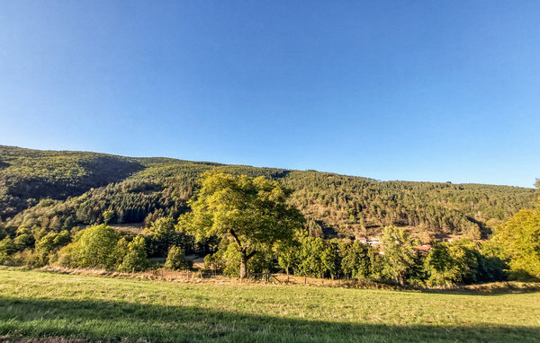 Domy wakacyjne - Chilhac , Francja - FUH018 905