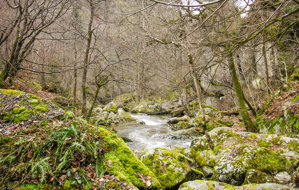 Kuća-za-odmor - Saint-Pal-de-Senouire , Francuska - FUH019 902