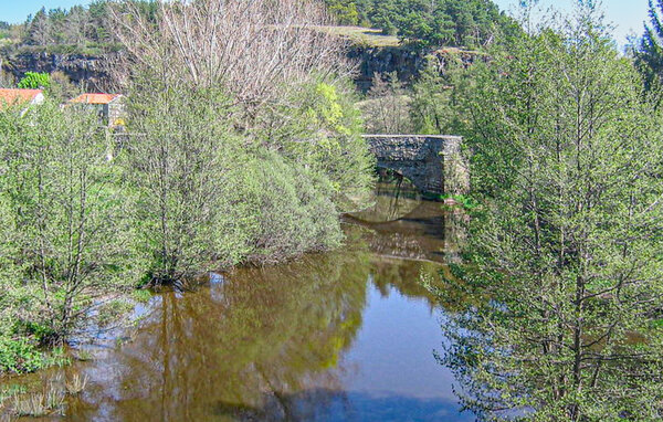 Domy wakacyjne - Céaux-d'Allègre , Francja - FUH023 904