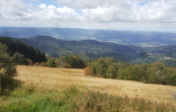 Domy wakacyjne - Grandrif , Francja - FUP016 4