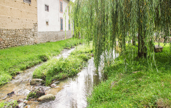 Domy wakacyjne - Grandrif , Francja - FUP016 904