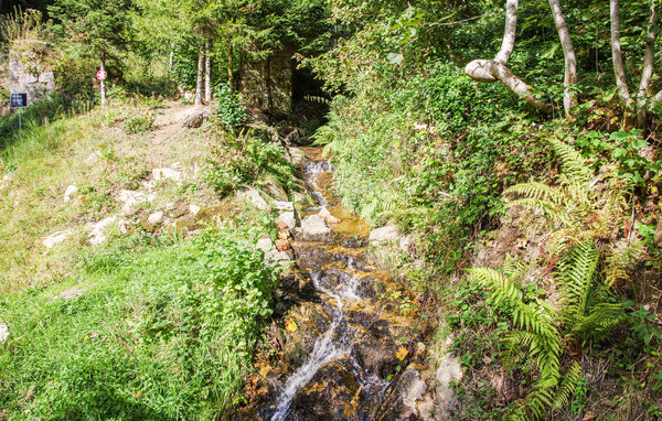 Domy wakacyjne - Grandrif , Francja - FUP016 905