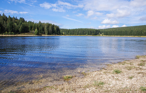 Domy wakacyjne - Grandrif , Francja - FUP016 906