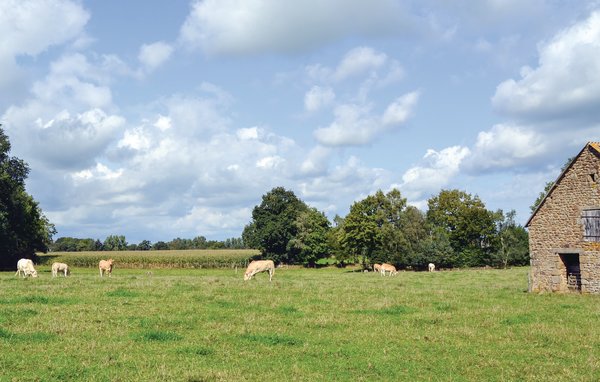 Vakantiehuis 