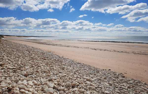 Ferienhaus - Longeville-sur-Mer , Frankreich - FVE273 2