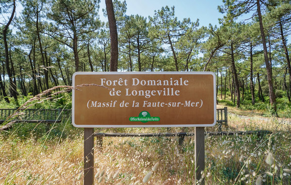Domy wakacyjne - L'Aiguillon-la-Presqu'île , Francja - FVE305 106