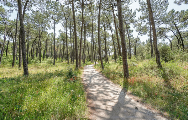 Domy wakacyjne - L'Aiguillon-la-Presqu'île , Francja - FVE305 111