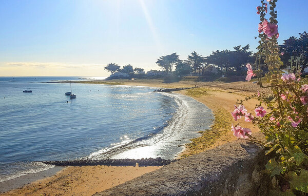 Holiday Home - Noirmoutier en l'Ile, Le Vieil , France - FVE364 202