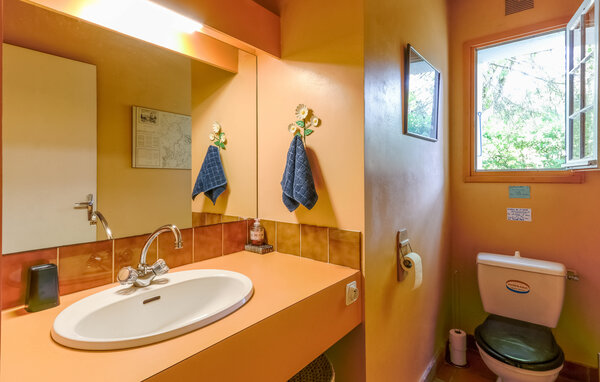 Ferienhaus - Nieul le dolent , Frankreich - FVE430 701