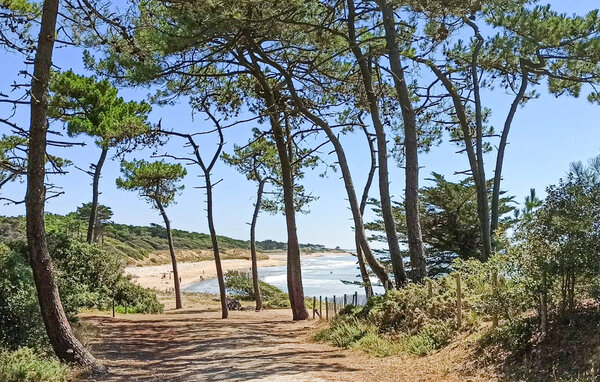 Vakantiehuis - Jard Sur Mer , Frankrijk - FVE434 3