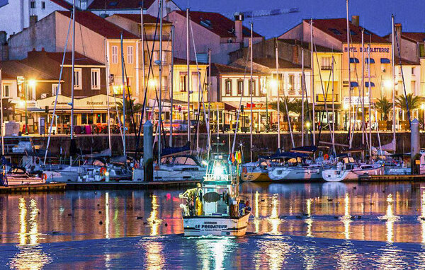 Ferienhaus - Brétignolles sur mer , Frankreich - FVE440 904