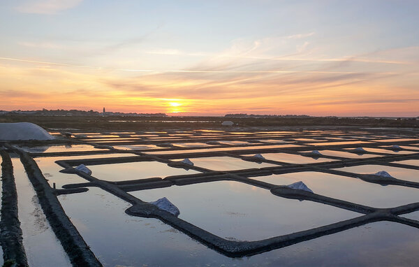 Vakantiehuis - La Barre de Monts , Frankrijk - FVE441 906