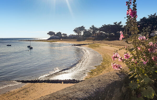 Semesterhus - Noirmoutier en l'ïle , Frankrike - FVE446 902