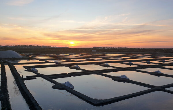 Semesterhus - Noirmoutier en l'ïle , Frankrike - FVE446 906