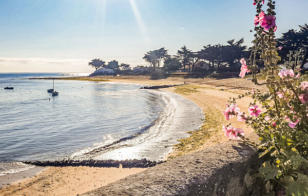 Feriehus - Noirmoutier en l'ïle , Frankrike - FVE447 902
