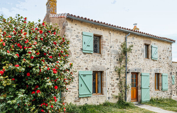 Semesterhus - Les Châtelliers-Châteaumur , Frankrike - FVE449 82