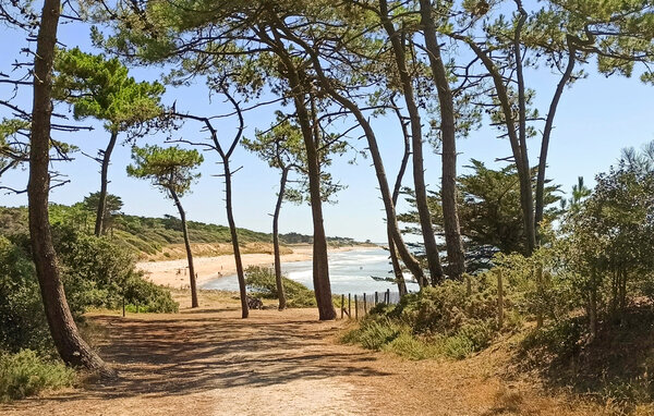 Vakantiehuis - Moutiers les Mauxfaits , Frankrijk - FVE453 8