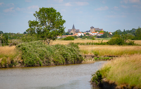 Vakantiehuis - Sallertaine , Frankrijk - FVE456 902