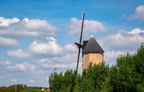 Vakantiehuis - Sallertaine , Frankrijk - FVE456 904